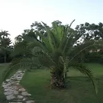 Zena Otel Kemer