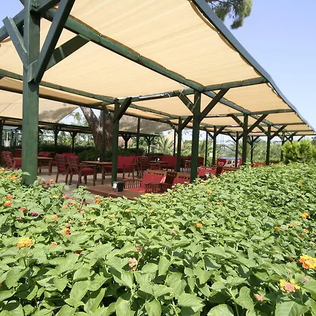 Zena Hotel 5*
