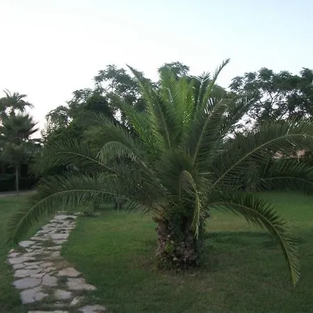 Zena Hotell Kemer