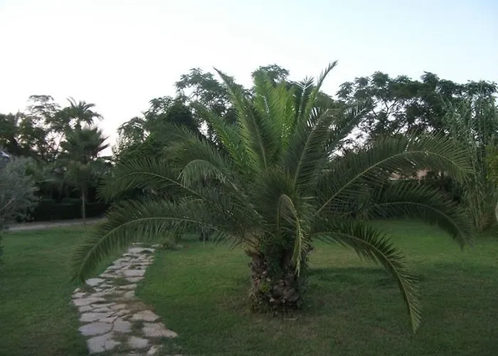 Zena Hotel Kemer